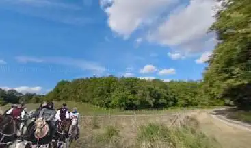 Chemin de Randonnée de Chinon Ã  Montbazon R43 - Chemin de la forêt