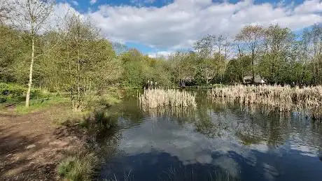 Heaton Mersey Common