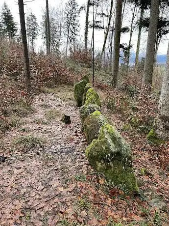 Menhir auf dem Homberg