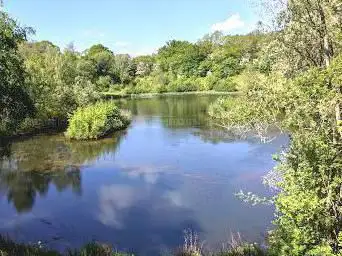 Ryton Pools Country Park