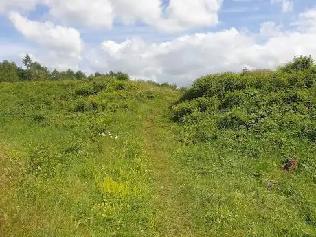 Llanmelin Wood Hillfort