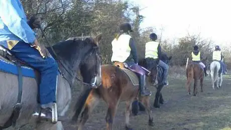 Horses for Causes/Soar Valley Western Stables