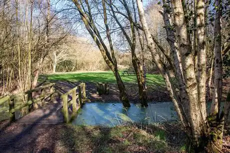 Watchmoor Nature Reserve