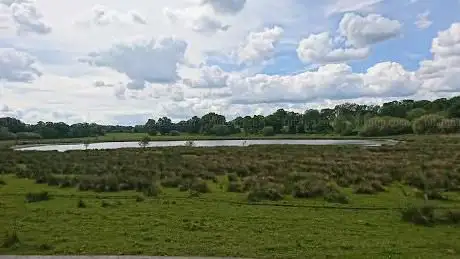 The Vyne Bird Hide