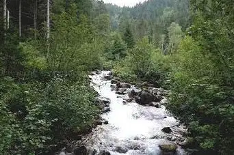 Cascade du pissou