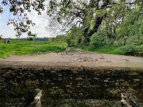 River Thames Water Source