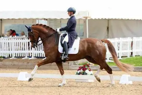 Wild Farm Livery Equestrian Centre