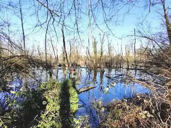 National Nature Reserve of La Petite Camargue