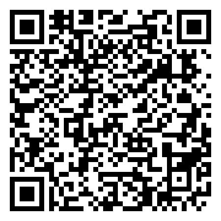 QR Code de Square des Vikings