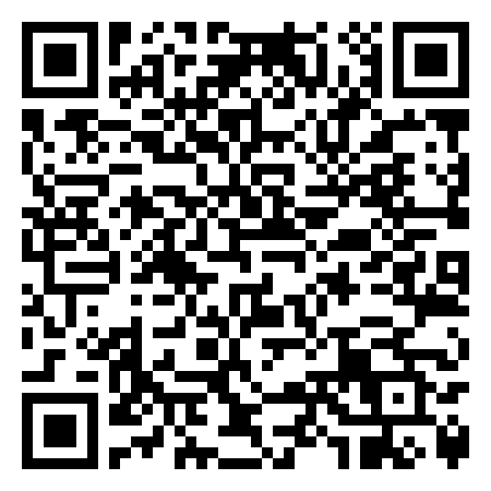 QR Code de Silver Coin