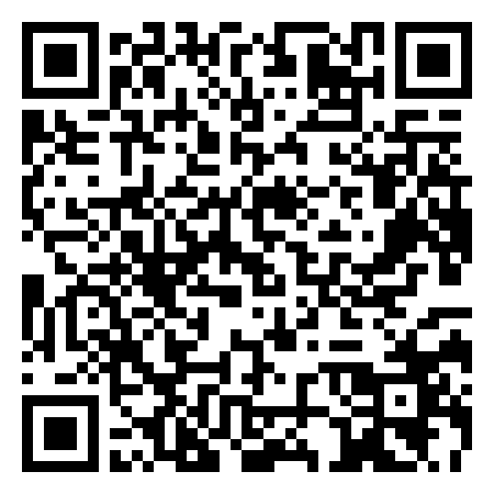 QR Code de Plagette