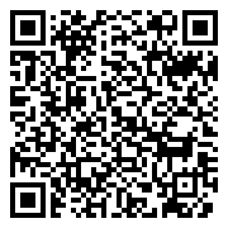 QR Code de Real black box