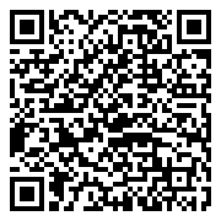 QR Code de Bruce McLaren Racing