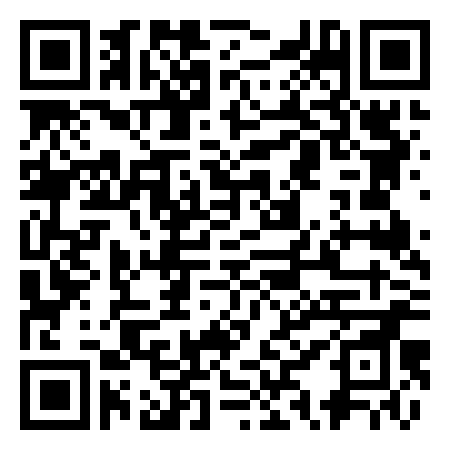 QR Code de Salmon Leaps