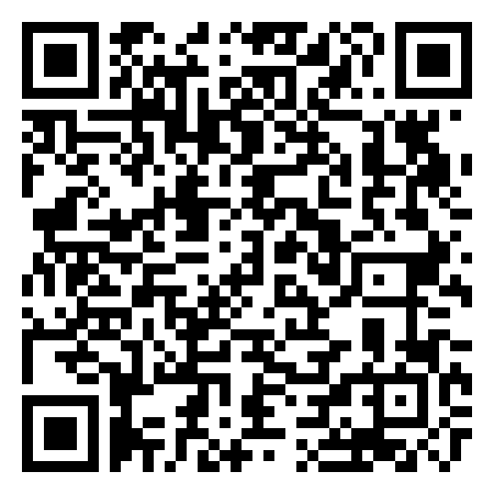 QR Code de Double Bull 27