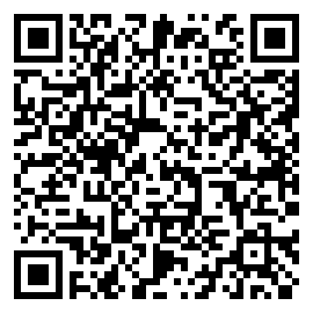 QR Code de Black Lion