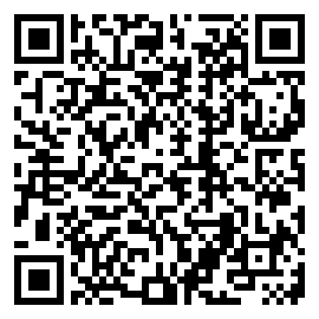 QR Code de Salomone Erty