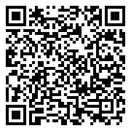 QR Code de Pittore