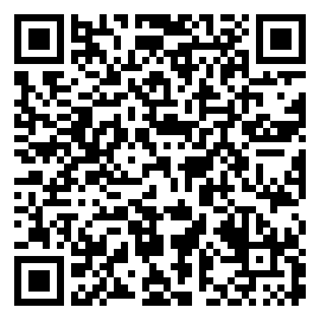 QR Code de Domani's