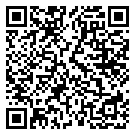 QR Code de Goose Studio