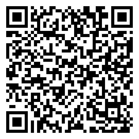 QR Code de The Pulse