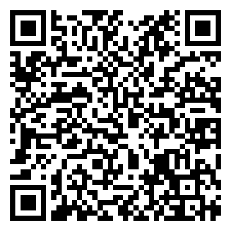 QR Code de Sintesi - S.S.D. SRL