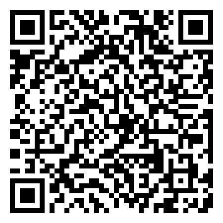 QR Code de Flavio Turchet