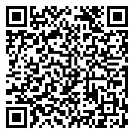 QR Code de Raggio Verde