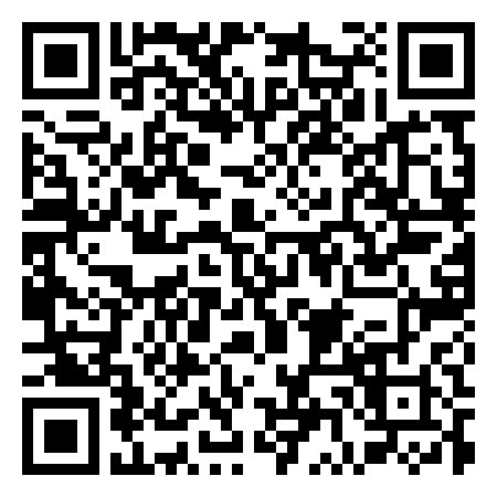 QR Code de Eleven Black