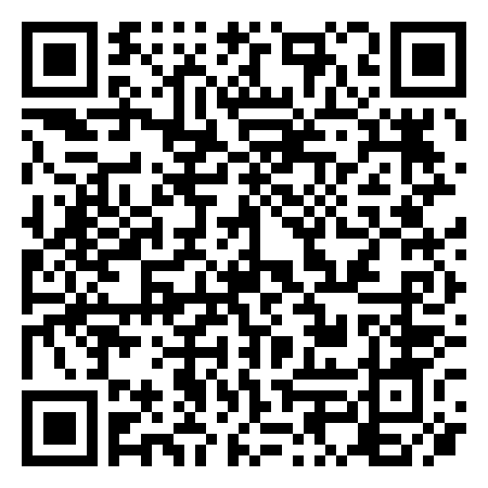 QR Code de Rock Punk