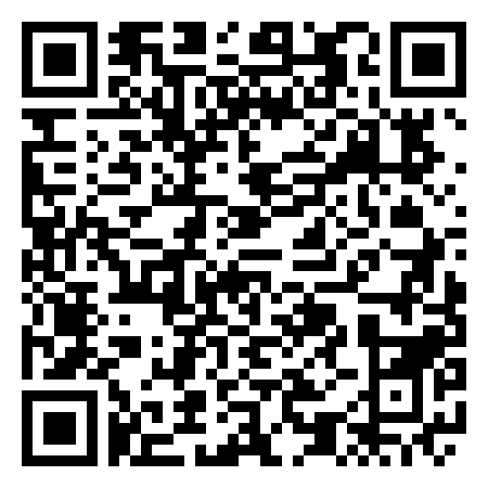 QR Code de The Partisans