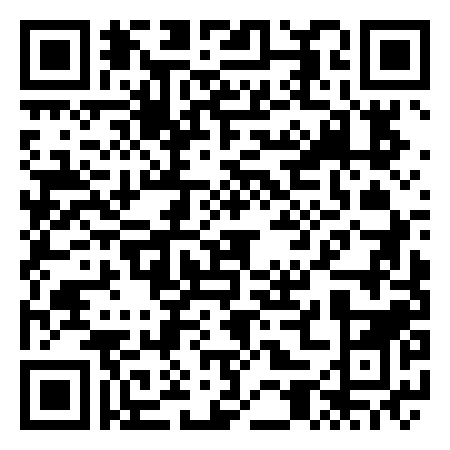 QR Code de Go Tiny