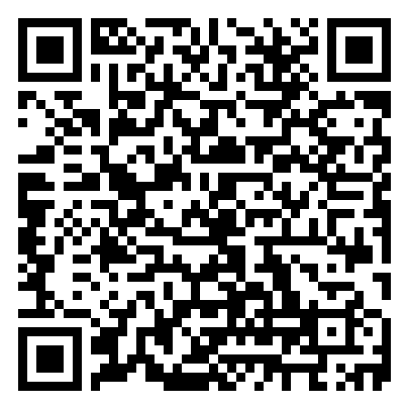 QR Code de Flying Lions