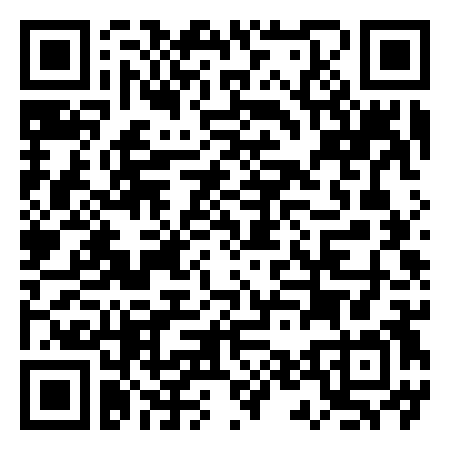 QR Code de Paradigm