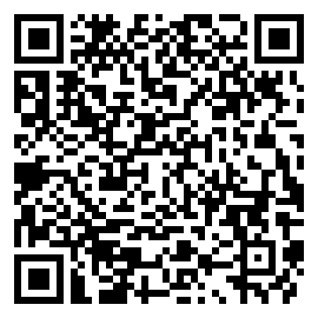 QR Code de Lumière Fourmi