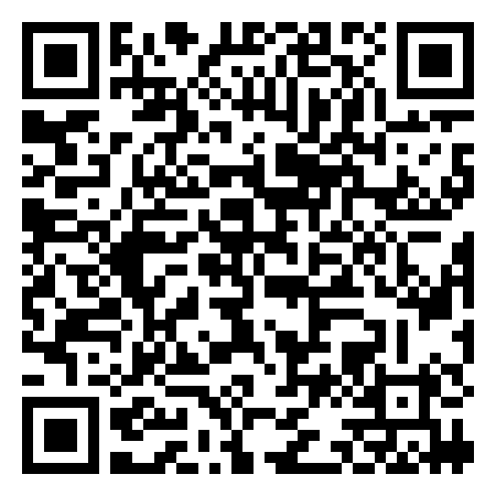 QR Code de Storm Disco