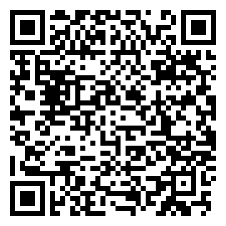 QR Code de VIP ICE