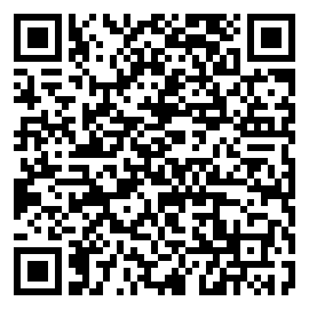 QR Code de Chemiflue