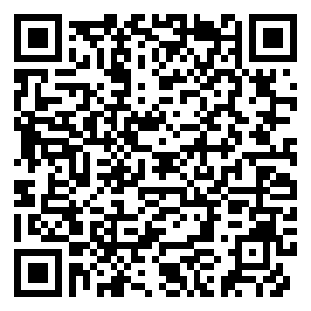 QR Code de Disco Ronde