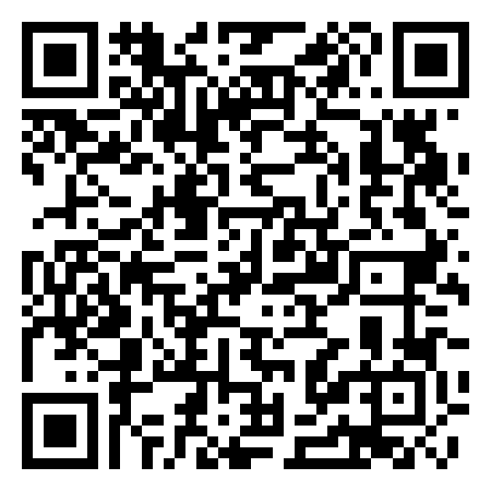 QR Code de THE TRAVELS OF ADRIANO agency tour operator