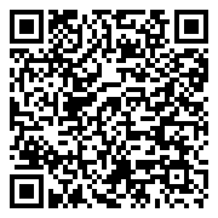 QR Code de Fly alley