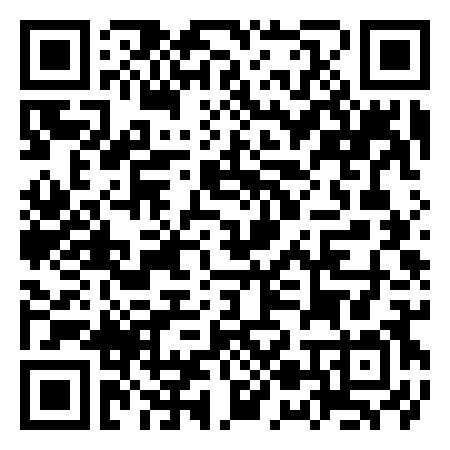 QR Code de Palace Amusements