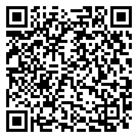 QR Code de YOOLOOC Livraison Big PADDLE Géant Surf électrique