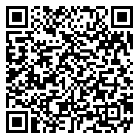 QR Code de The Junk