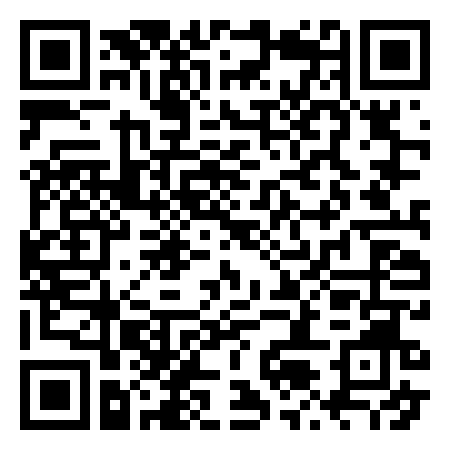 QR Code de The Stray