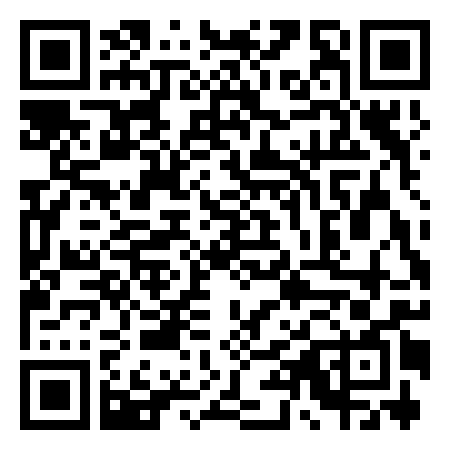 QR Code de Petit Modèle au Singulier