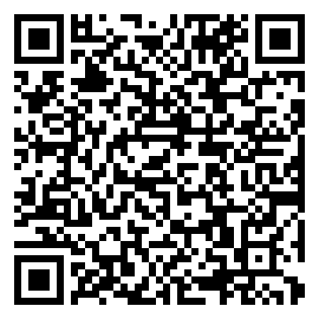 QR Code de Chicane Dunlop