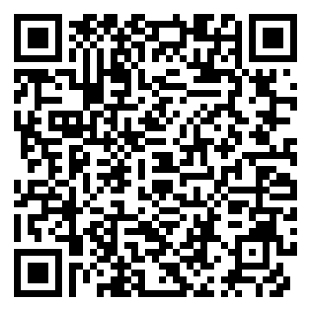 QR Code de Lion Salt Works