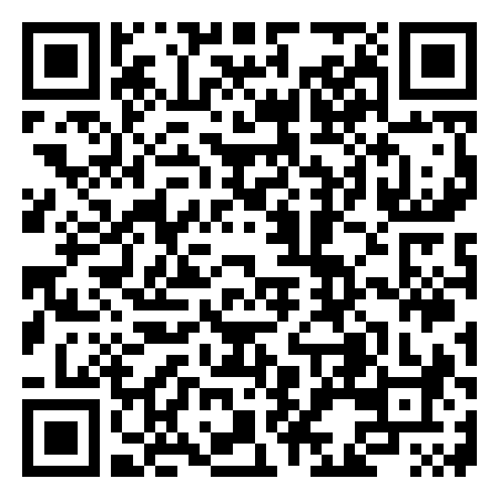 QR Code de Salix Arts