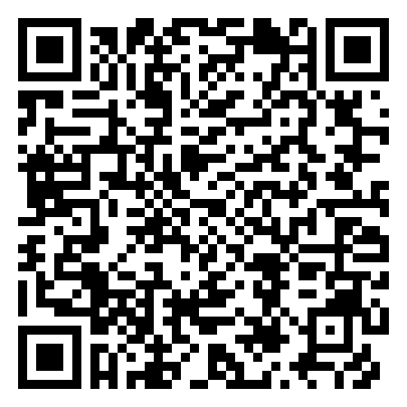 QR Code de Place Goldoni